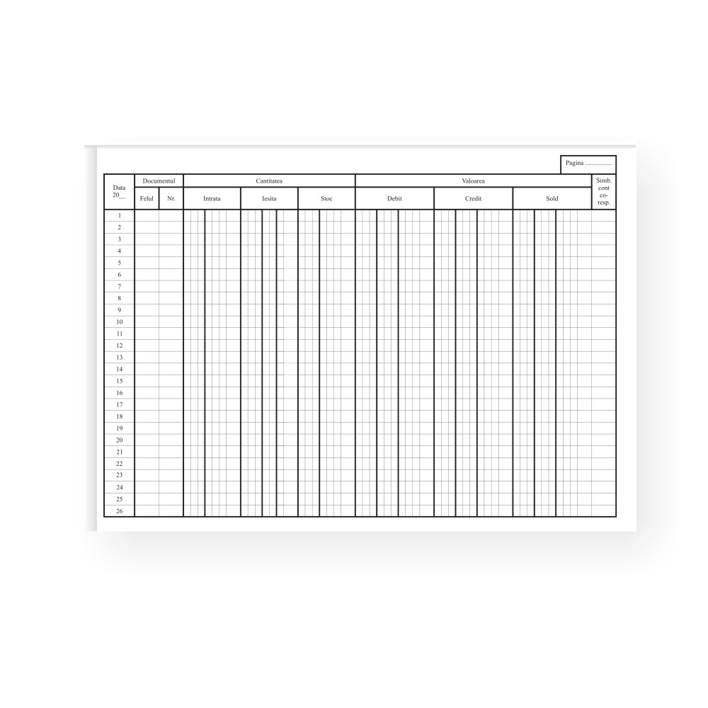 Office Set 100 fise cont analitic F/V 24.5x19.5cm carton duplex 230g