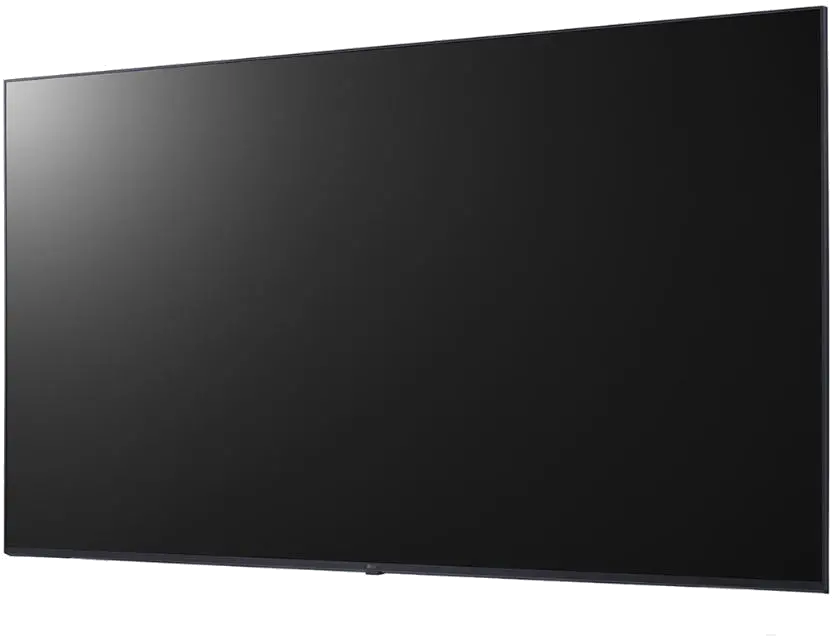 LG Display profesional 65 inch 4K UHD IPS digital signage