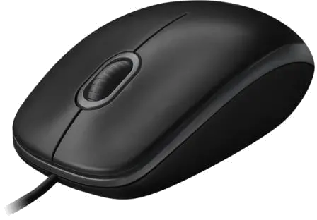 Logitech B100 mouse optic USB 800 DPI, Black 