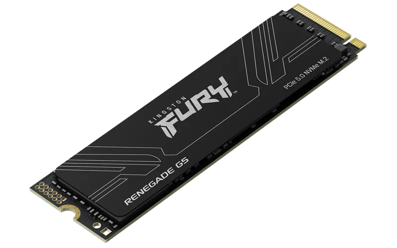 Kingston SSD M.2 2TB PCIe 5.0 NVMe FURY Renegade G5 