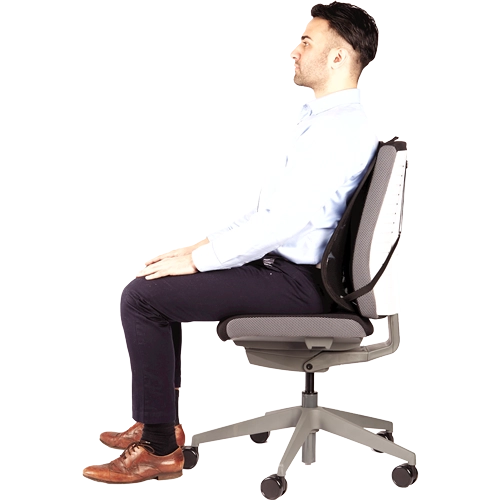 Fellowes Mesh Back Support Professional - suport ergonomic pentru spatar 