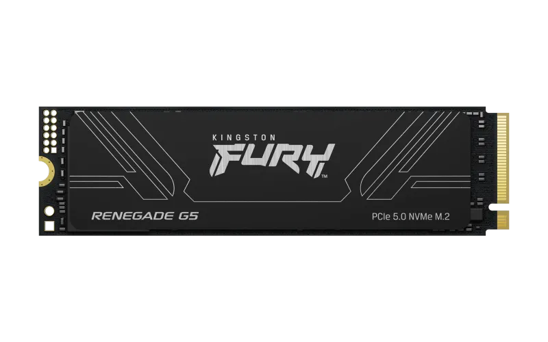 Kingston SSD M.2 2TB PCIe 5.0 NVMe FURY Renegade G5