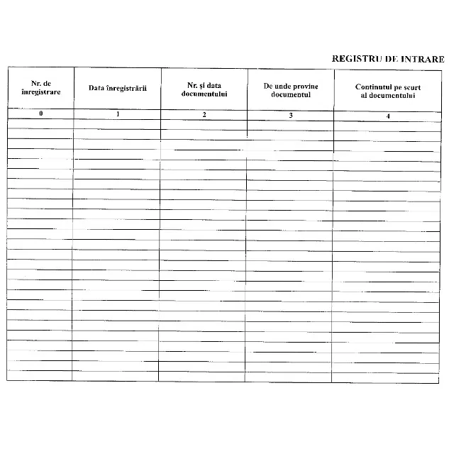 Office Registru intrare iesire corespondenta A4 100 file