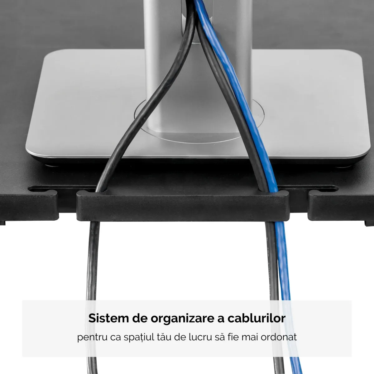 Fellowes Premium monitor riser graphite - suport pentru monitor lifestyle
