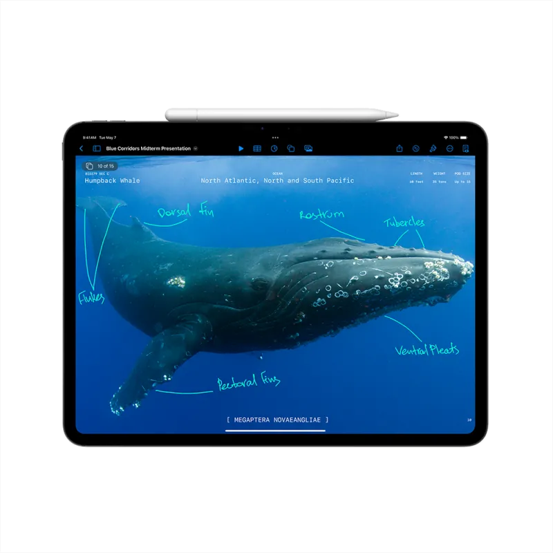 Apple iPad Pro 11inch M4, 2TB, Cellular, Nano-texture Glass, Space Black 