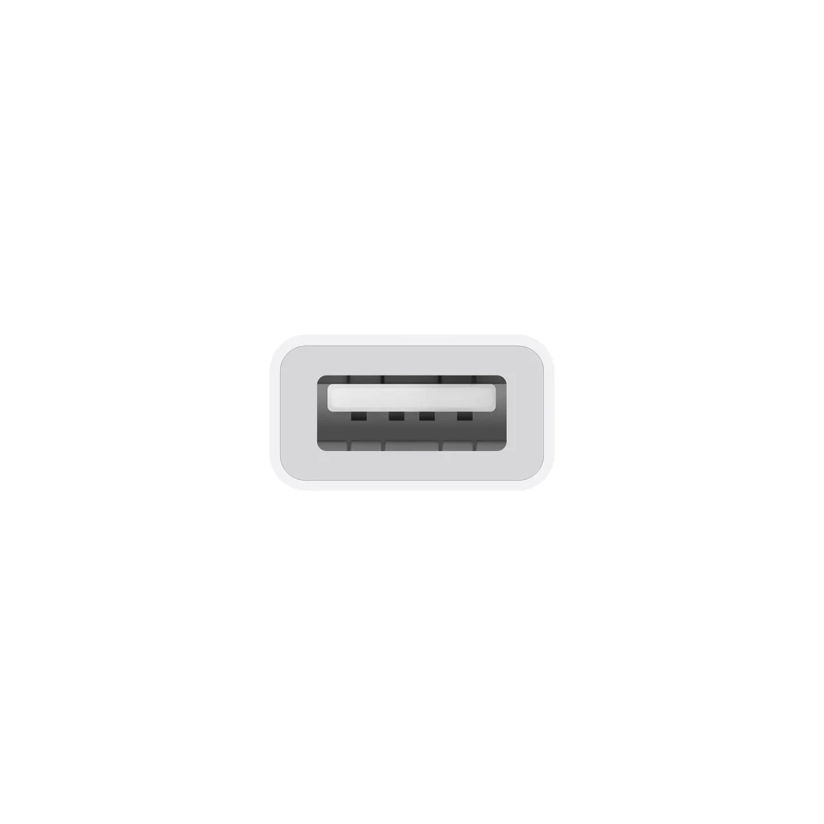 Apple USB-C to USB Adapter 