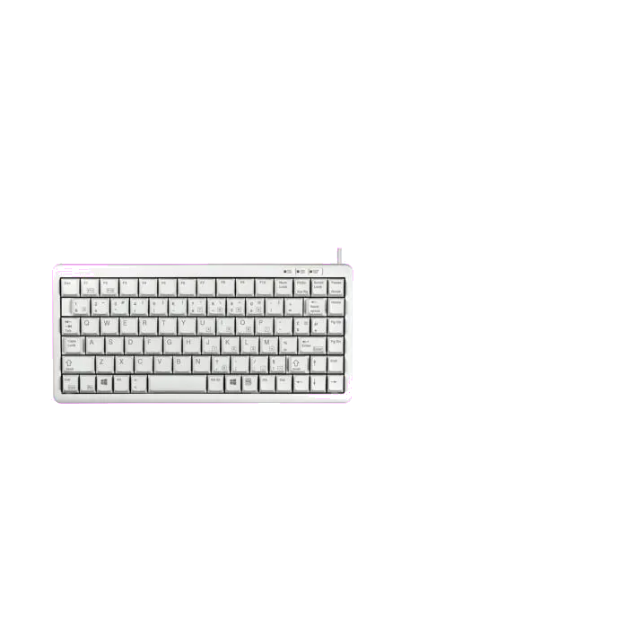 Cherry Tastatura compacta G84-4100, FR, USB-A/PS2, gri, tasta Windows