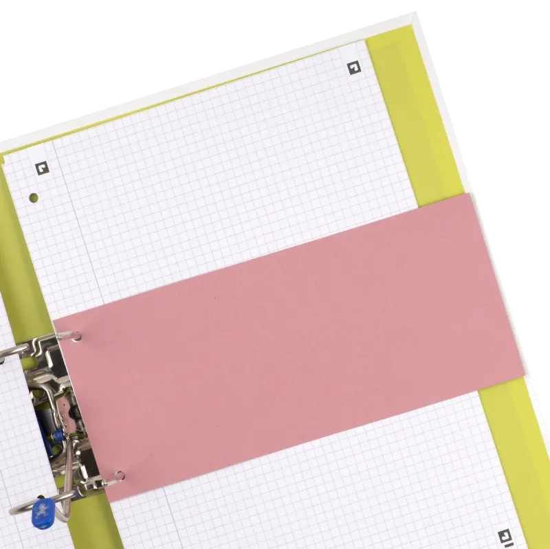 Oxford Separatoare biblioraft Blue Angel 105x240mm rosii, set 100