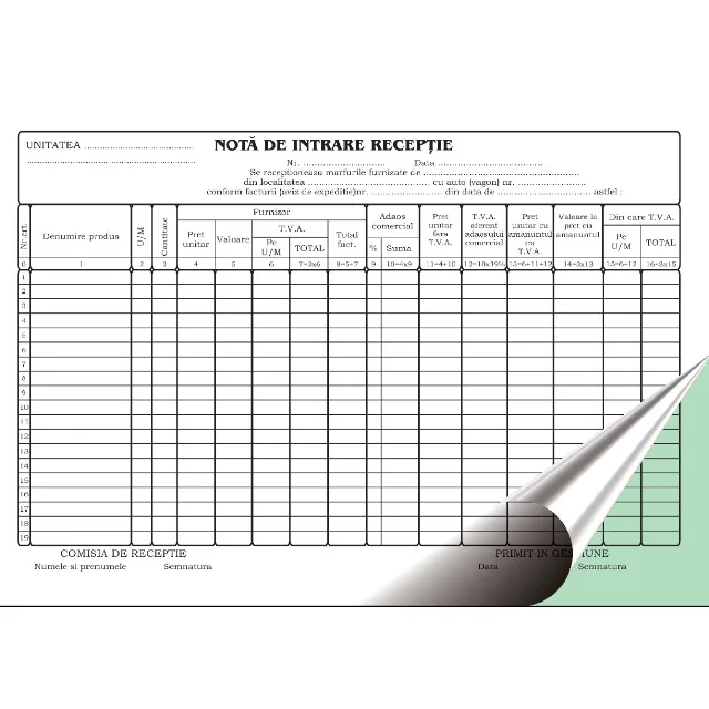 Office NIR autocopiativ A4 100 file